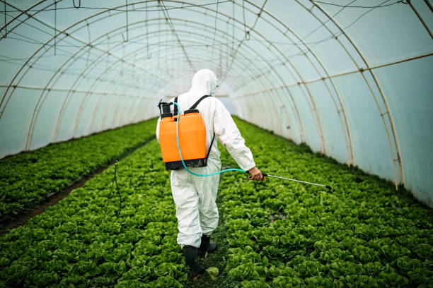 Best Mosquito Control Services  in Howard, WI