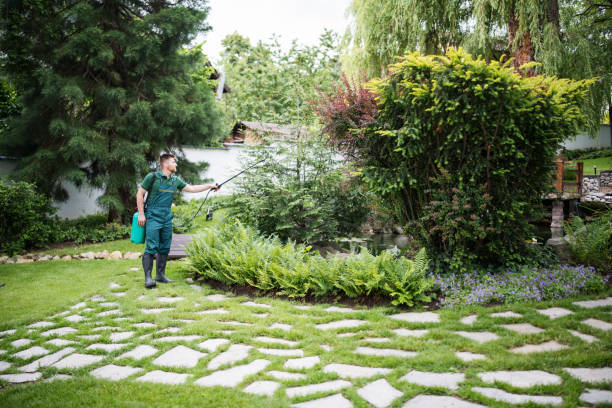 Best Best Pest Control Near Me  in Howard, WI