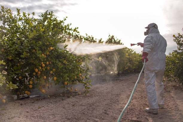 Best Emergency Pest Control  in Howard, WI