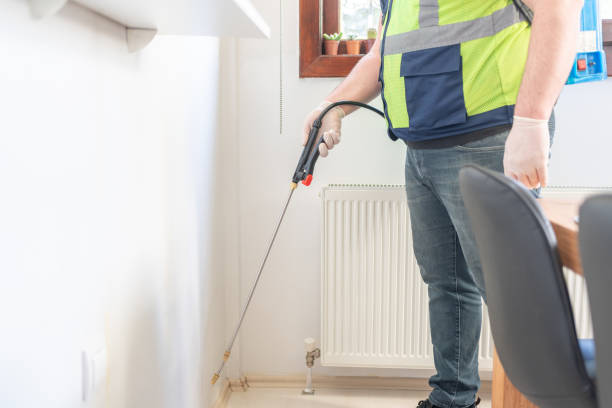 Best Ant Control Services  in Howard, WI