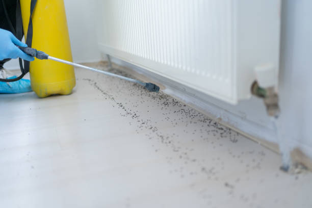 Best Best Pest Control Companies  in Howard, WI