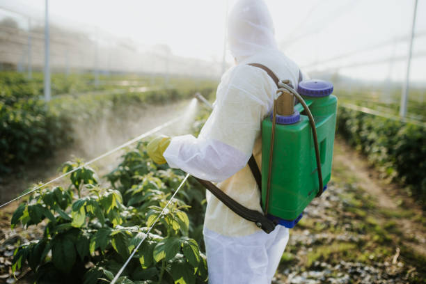 Professional Pest Control in Howard, WI